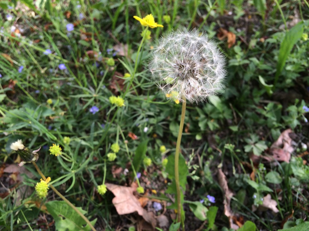 2014-05-24 17.13.37