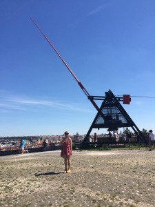 IMG_4921