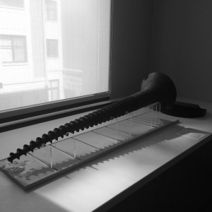 Soft Screw