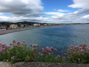 Starting the Bray Trail